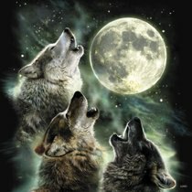 Get outside tonight and howl at the Wolf moon with us.